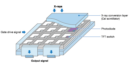 Structure & Principle of operation