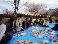 夜桜祭り