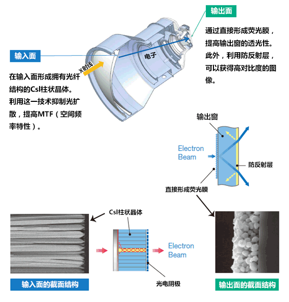 核心技术